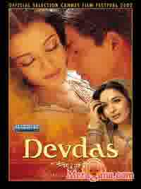 Poster of Devdas (2002)